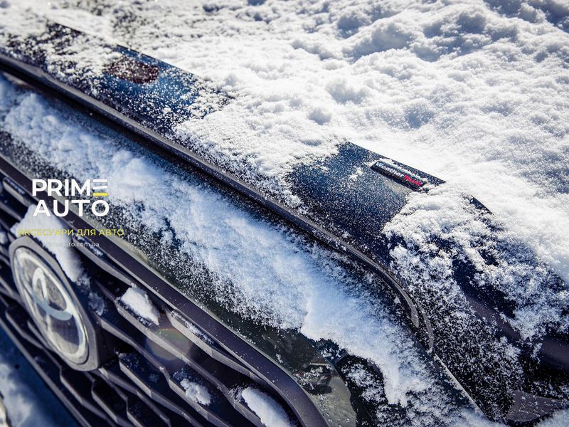 Спойлер капоту Hyundai Elantra 2019 - 2020 WeatherTech 55230 55230 фото
