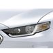 Захист фар Toyota Land Cruiser 200 2016 - 2021 EGR 239400HAL 239400HAL фото 4