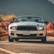 Передні фари Ford Mustang 2013-2014 NOVA-Series Black AlphaRex 880487 880487 фото 5