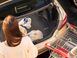 Коврик в багажник, с накидкой Porsche Taycan 2020 + черный WeatherTech 401557SK 401557SK фото 12